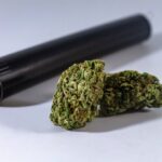 Легализация марихуаны в Таиланде img-194.jpg