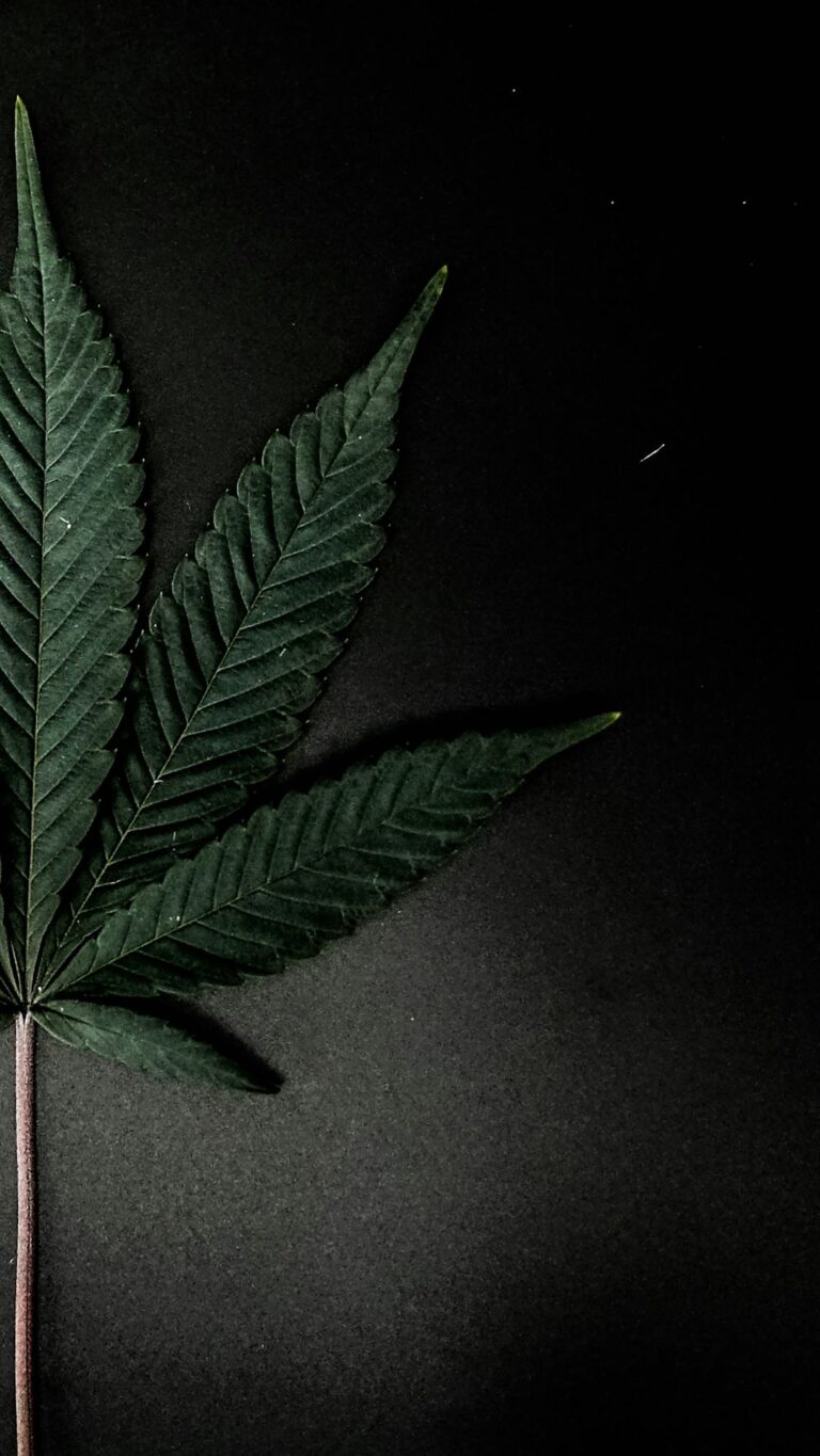 Спайс соли и миксы: информация о наркотических веществах и их эффектах