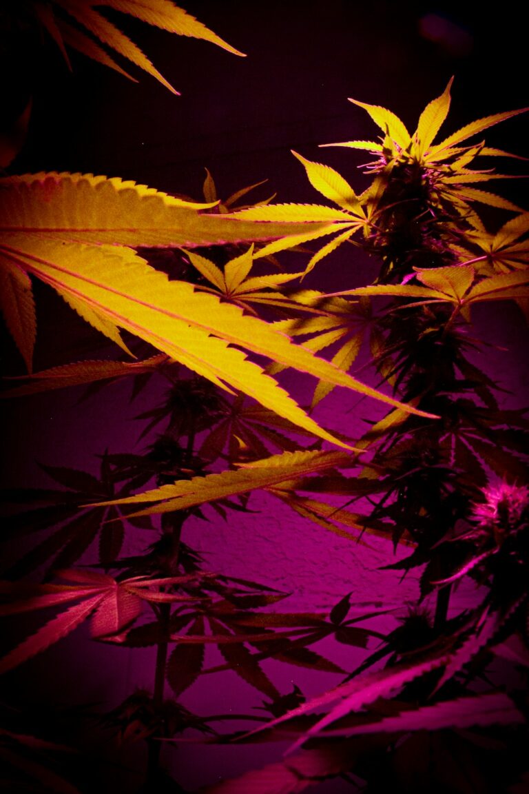 Проблема наркозависимости в Мариуполе