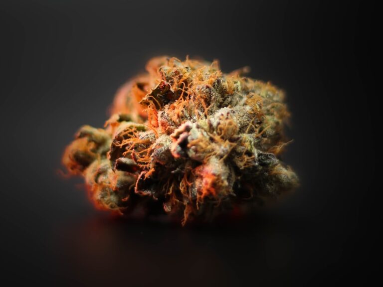 Преимущества покупки семян конопли онлайн и как сделать правильный выбор