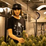 Купить спайс в Нижнем Новгороде img-2297.jpg