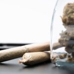 Выращивание марихуаны из семян пошаговое руководство img-2378.jpg