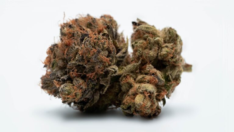 Приобретение семян конопли в Беларуси и их свойства