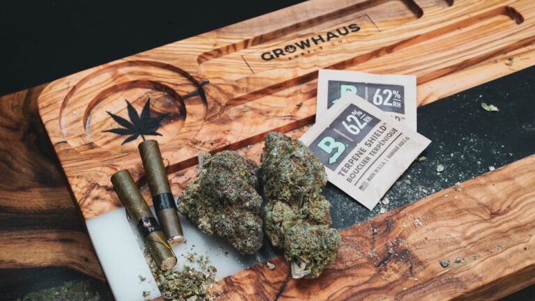 ЛСД лампы для растений: преимущества и выбор оптимального варианта