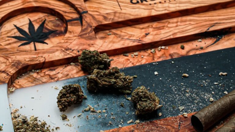 Конопля и ее применение в различных сферах жизни