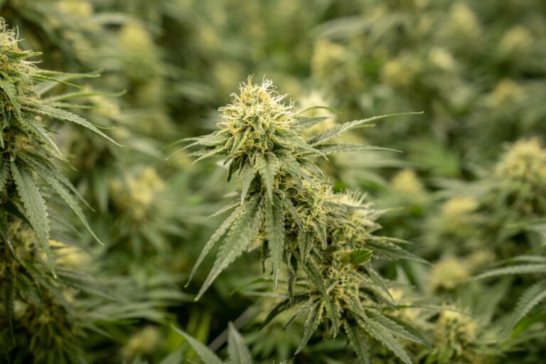 ЛСД телевизоры и дисплеи Самсунг особенности и преимущества