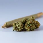 Спайс и его свойства что это такое и где купить курительную смесь img-277.jpg