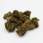 Корма с семенами конопли для животных img-2860.jpg