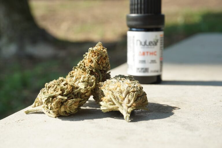 Купить гашиш в Ухте: реальность и риски