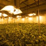 Kraken в контексте даркнета img-2907.jpg