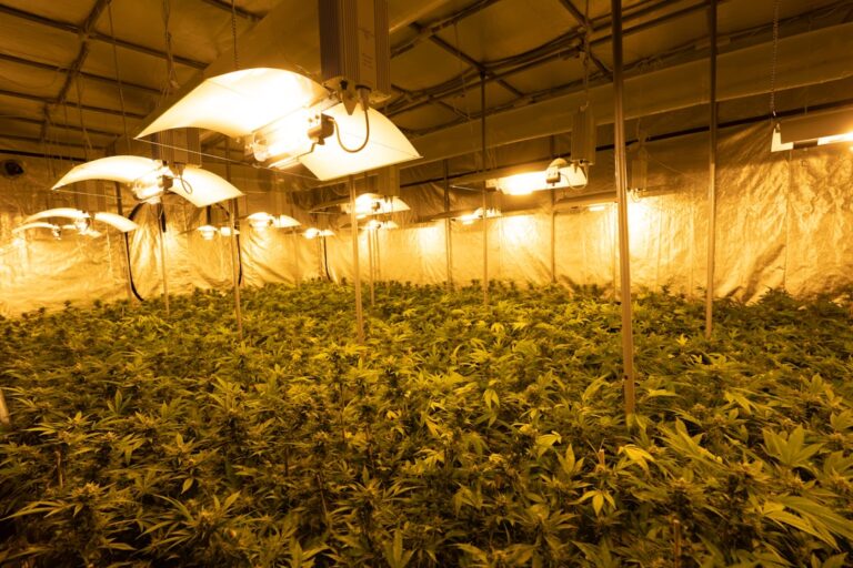 Kraken в контексте даркнета