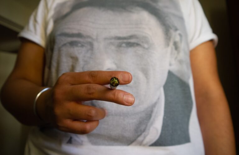 Семена конопли и их приобретение в аптеке