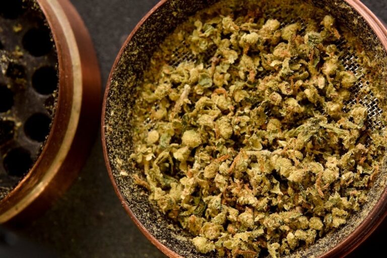 Гашиш в Египте: Правовой статус и рынок наркотического вещества