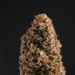 Точки продажи спайса img-861.jpg