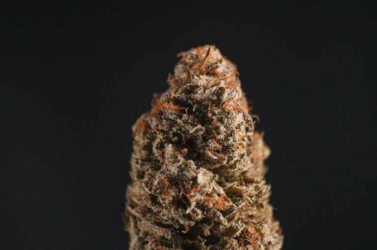 Точки продажи спайса